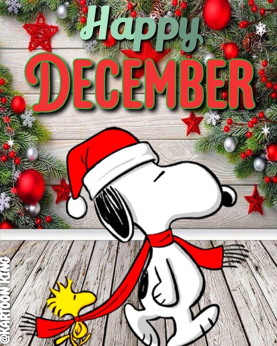 CathyAvon225's tweet image. #HelloDecember 
#GoodbyeNovember 
November came and went so fast. 
Everyone is looking forward to Christmas. 
Many people have already put up their Christmas trees. 
Their yards are decorated, too. 
I wish you the best this month with all your endeavors.
➡️ ➡️ 
#December1st #love
