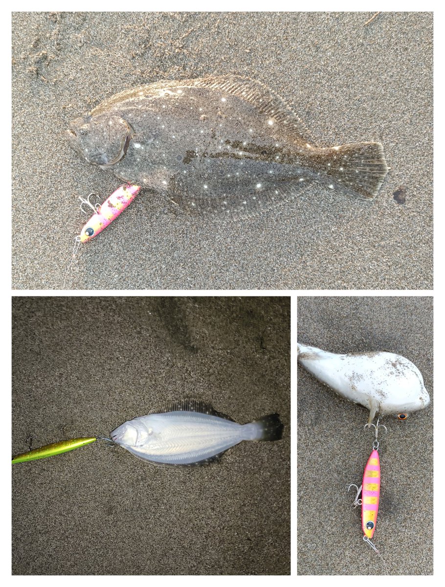 朝練#47終了。
曇り、向かい風爆風、波はまだ何とか。鳥山期待するも射程圏に寄らず。マイクロソゲx2とグーフーのみ。