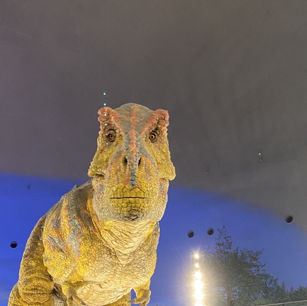 q8GZQVm3yYD1OIX ここでナンパする奴よりマシか…