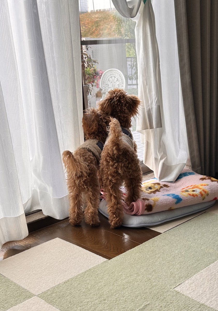 かずちゃん (@kazu13chan) / Posts / X