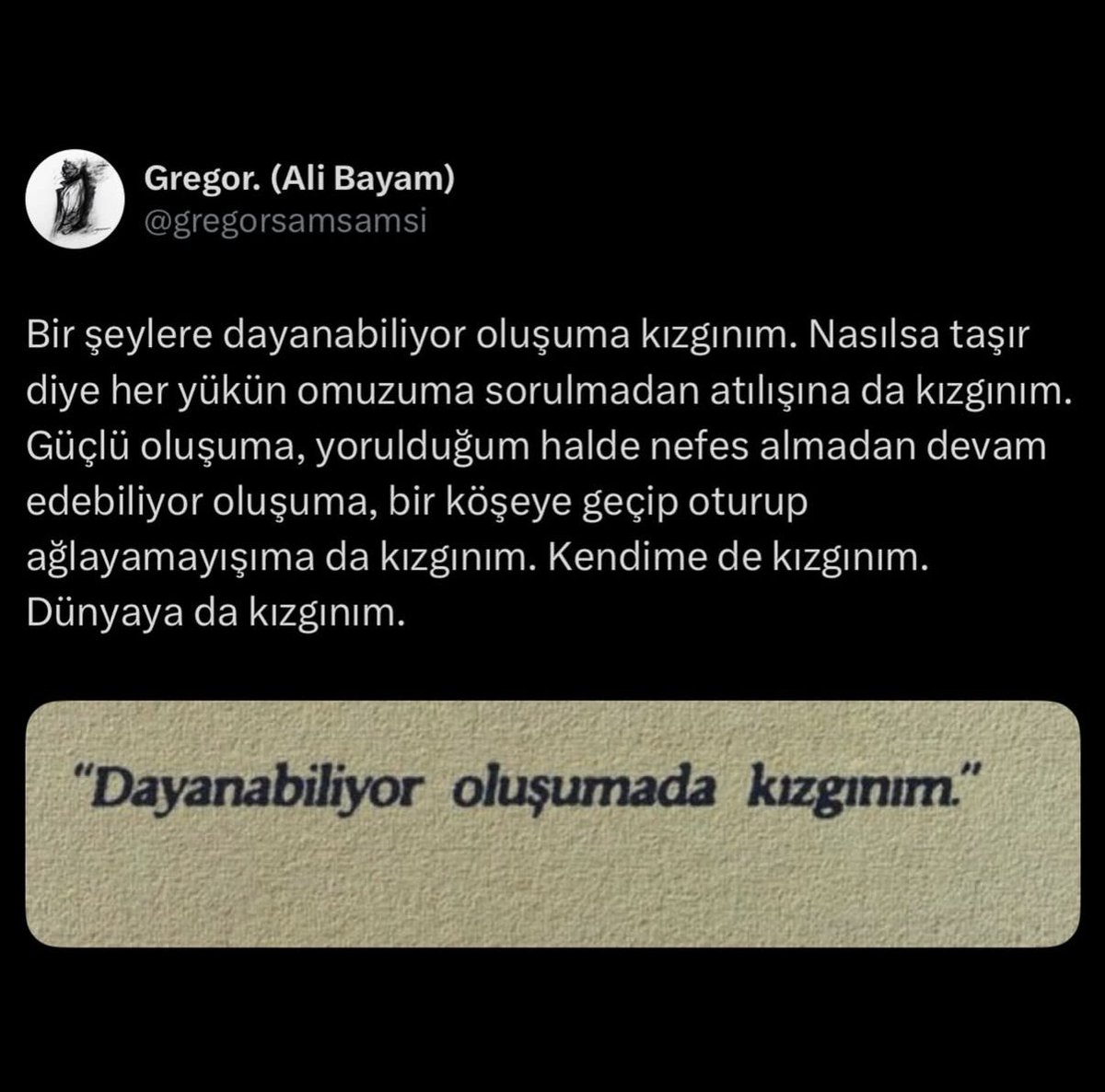 Hilalllll tweet media