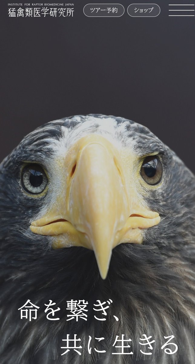 raptor_biomed's tweet image. 【お知らせ】
猛禽類医学研究所のホームページが全面リニューアルしました！
irbj.net