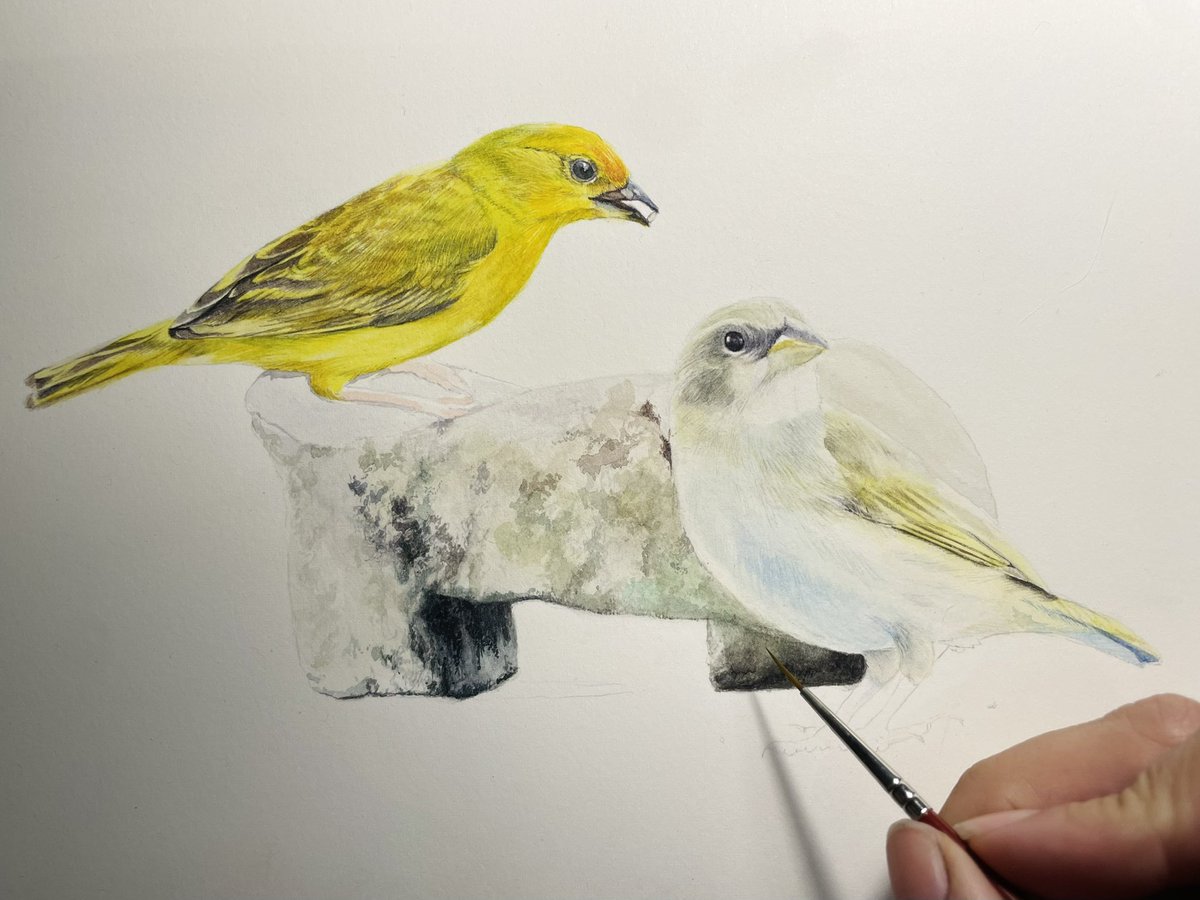 Con las buenas noches...