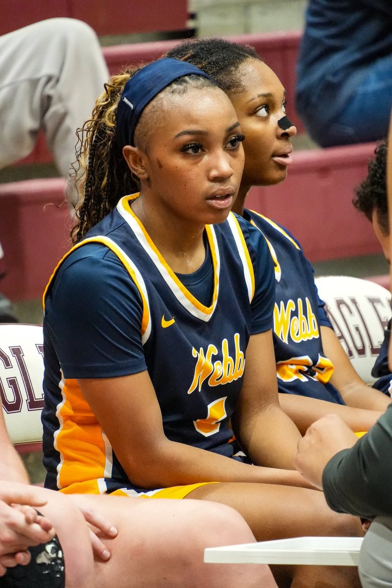 More work to do! 🤫

📸 by <a href="/MegCam_/">Meg Cam</a>