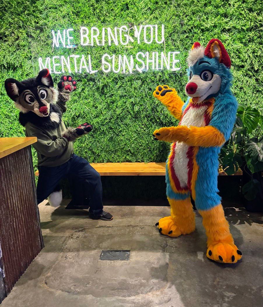 Just a pair of silly floofs trying to make your day brighter 😊💙🐾 #FursuitEveryday 

🐺: <a href="/LexingtonHx/">Nighthawk_Wolf🔜CFF</a>