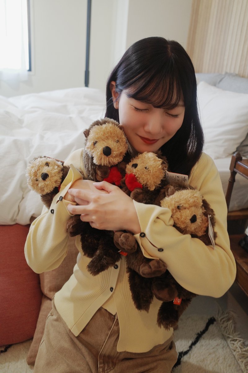 📢帯プレゼントはもう応募しましたか？✨ おひなさんの愛情たっぷりの