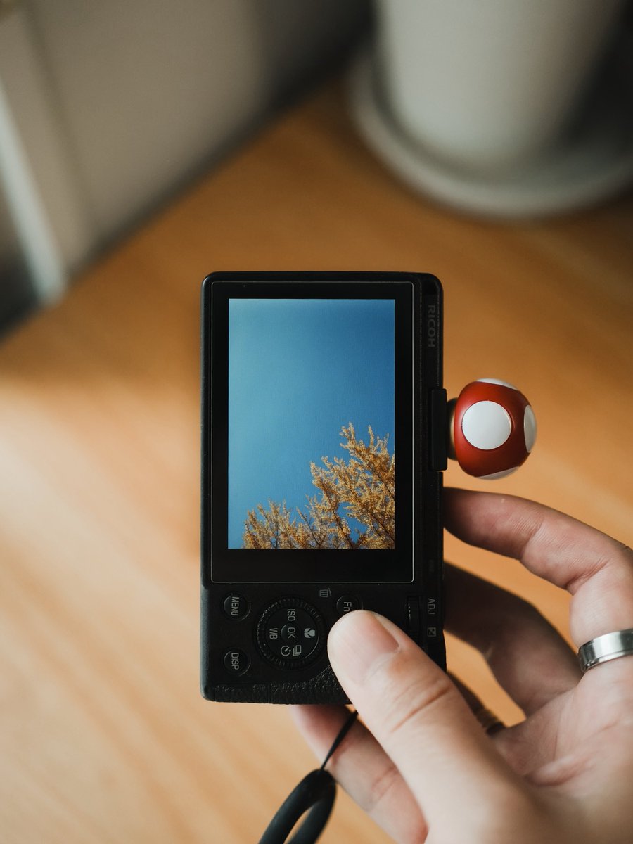 emmards's tweet image. GM☀️🍁