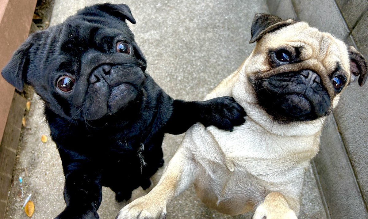 Y8 Ga Me【1bmw.org】PuG