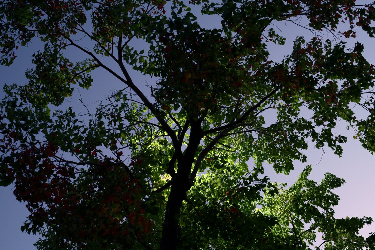 luis (@luiscencias) on Twitter photo 