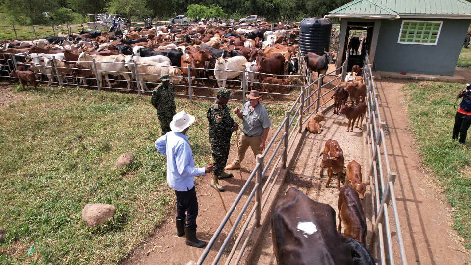 NATIONAL ENTERPRISE CORPORATION tweet media