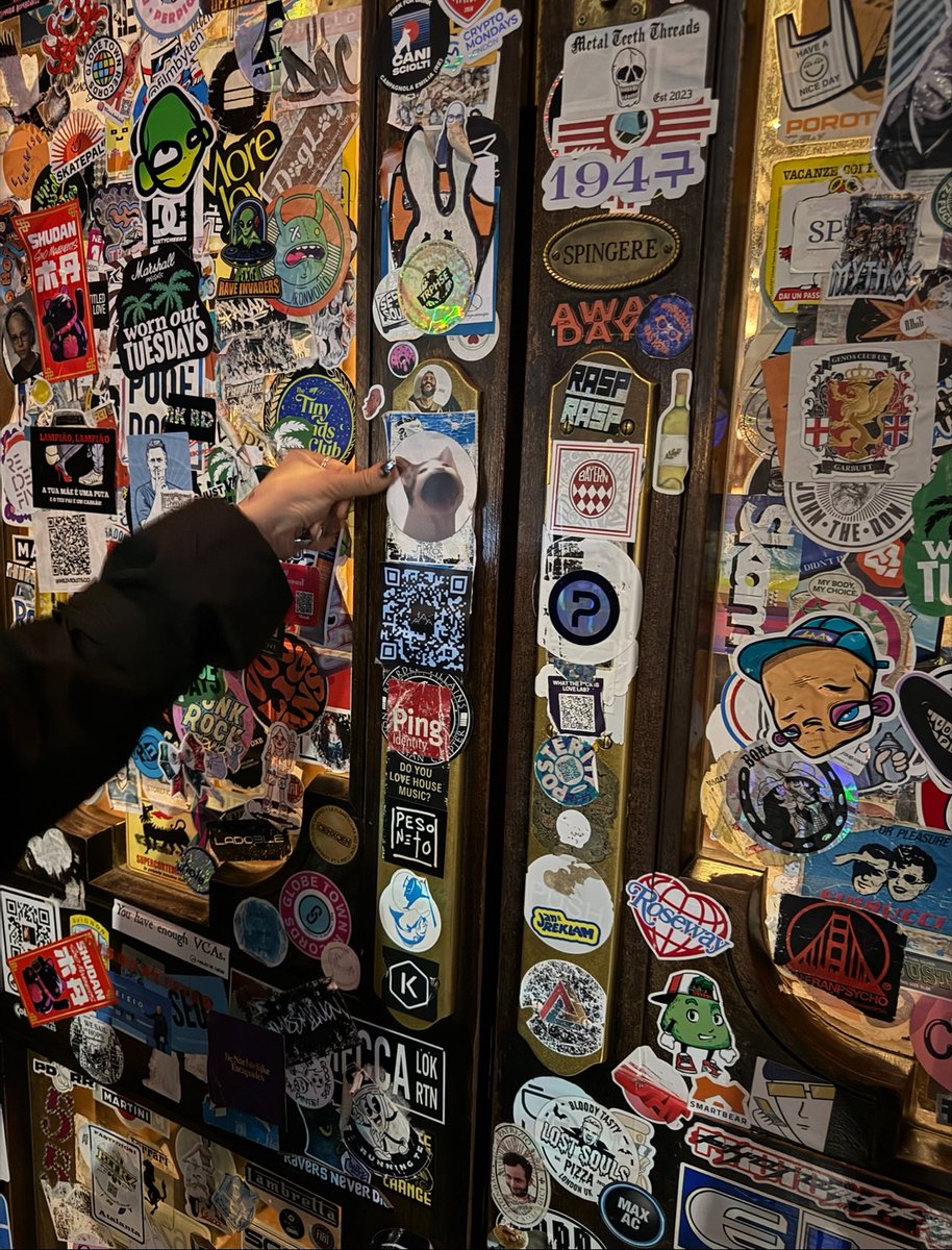 artsch00lreject's tweet image. cat coin maxi 😽 $POPCAT