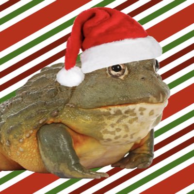 largetoad09's tweet image. We out here getting jolly and merry