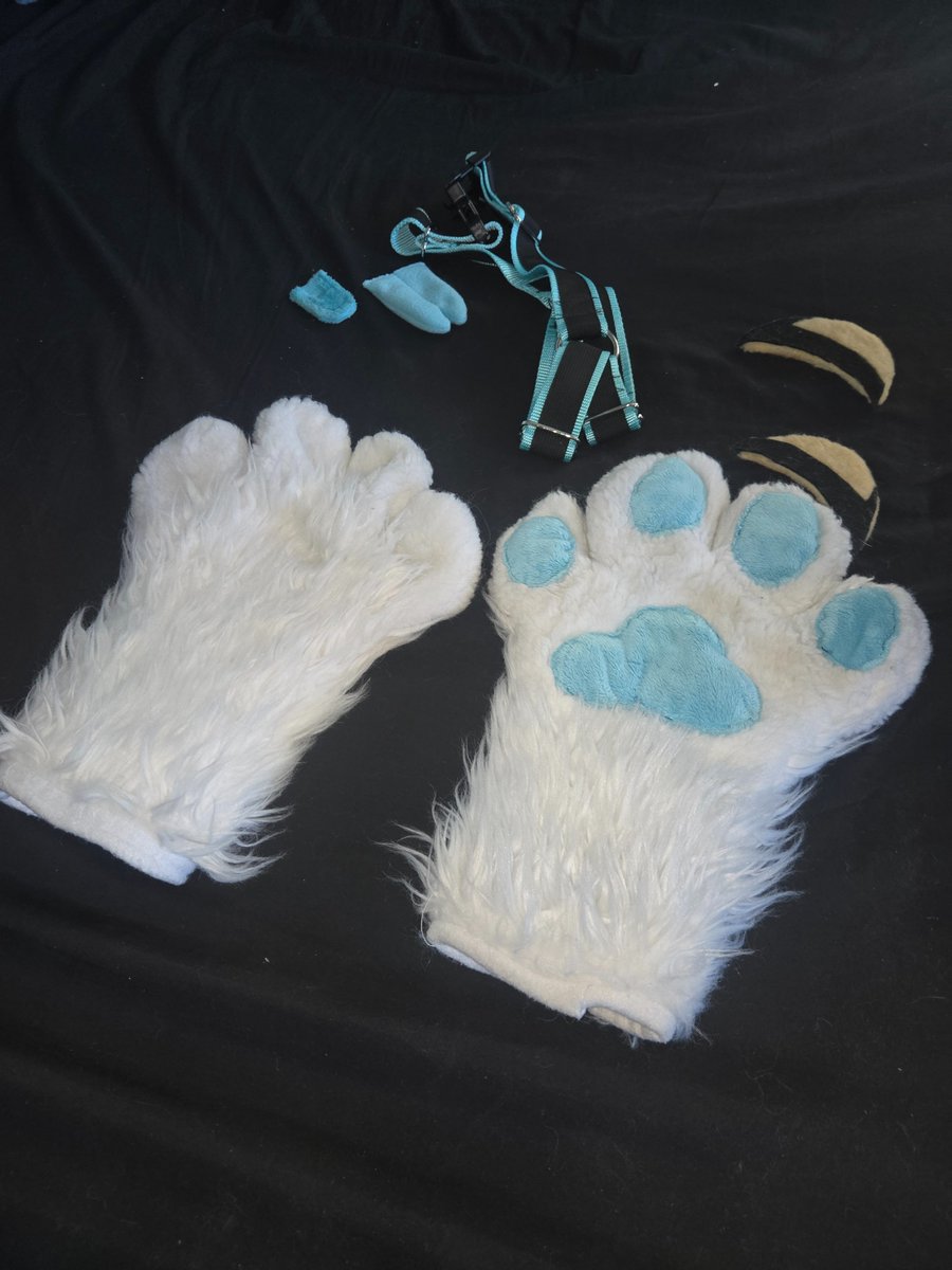 Boxzaur's tweet image. Taking Offers, Asking 1K!
Partial Fursuit + Art pieces

I do wanna see her go to a good home, Thank You.