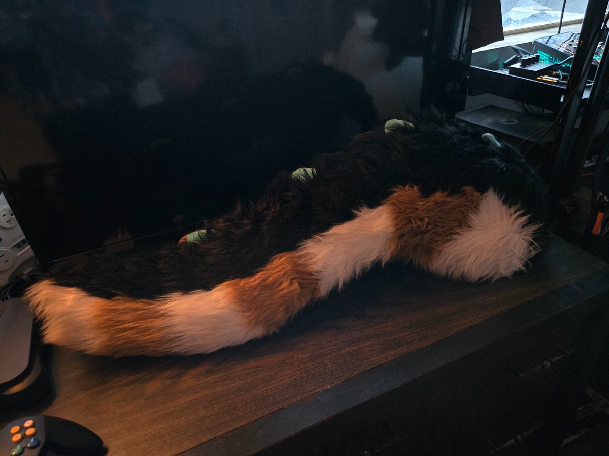 Boxzaur's tweet image. Taking Offers, Asking 1K!
Partial Fursuit + Art pieces

I do wanna see her go to a good home, Thank You.