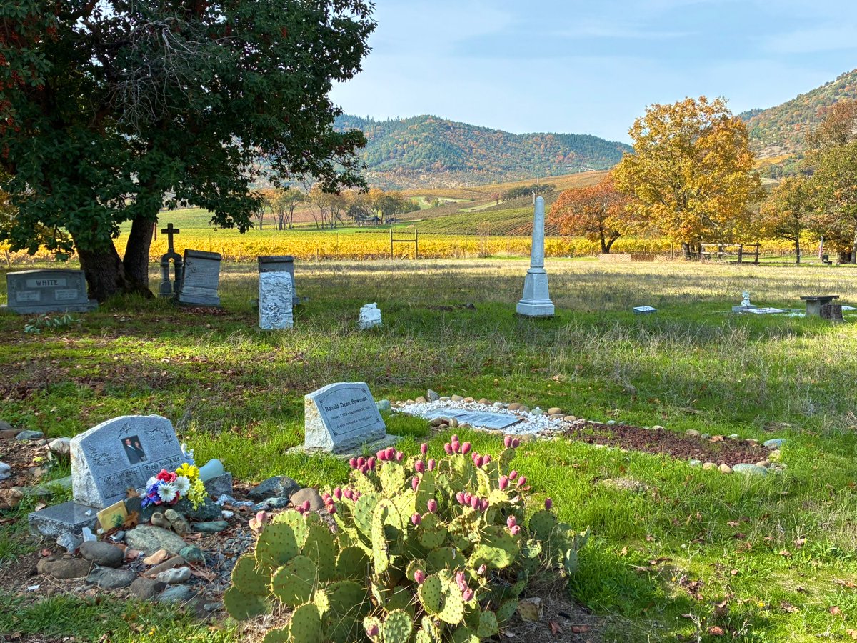 autumn slips away 
into a moment in time
with sunshine and leaves 🍁 

#dailyprompt #Sunshine_And_Leaves #poetry #WritingCommunity