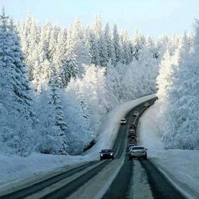 🦉𝘗𝘳𝘪𝘯𝘤𝘦𝘴𝘴 𝘓𝘦𝘢𝘩🎖𝟭𝟲𝟬𝗞🌞 tweet media