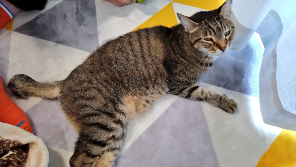 お外…🙀
黄砂でうっすら霞んでる〜💦