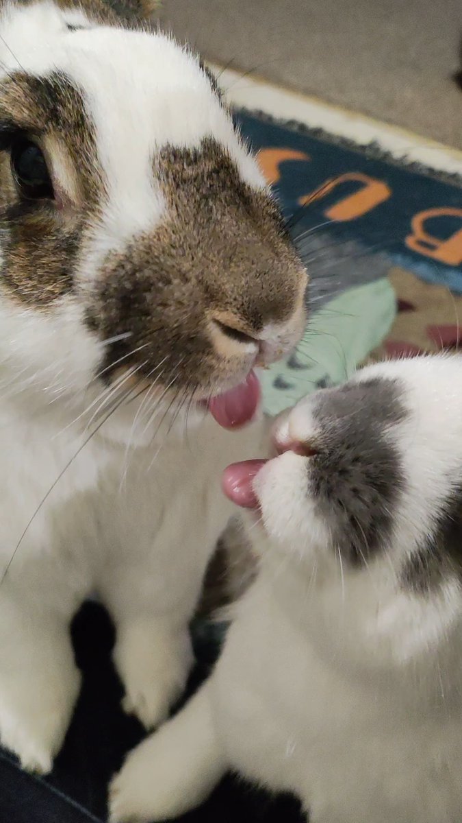 Hari: I will turn this car around, I swear.