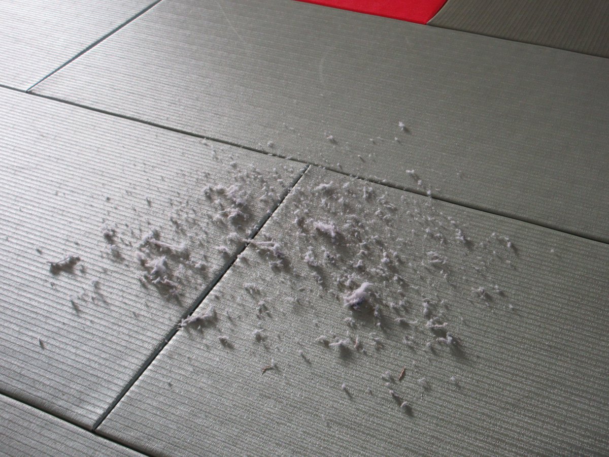 12月にとうとう突入ということで、稲沢市スポーツ施設は大掃除として普段あまり出来ていない色々な箇所の掃除に取り掛かっています(・∀・)
写真は稲沢市武道館柔道場の高所ホコリ落とし作業です(´-ω-`)