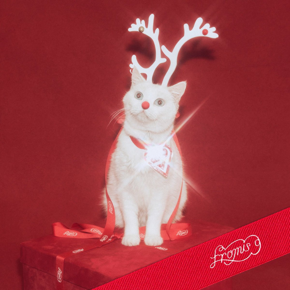 imbcenews's tweet image. 프로미스나인이 전하는 겨울이야기 
#프로미스나인 #fromis_9 #하얀그리움 #디지털싱글발매 
#리메이크싱글 #음원사이트 #음원발매 #iMBC연예 

&apos;하얀 그리움&apos;은 부드럽게 흐르는 신스 리프와 맑은 톤의 기타, 리드미컬한 드럼이 어우러져 겨울의 청량함과 온기를 동시에 담아낸 미디엄 템포 팝…