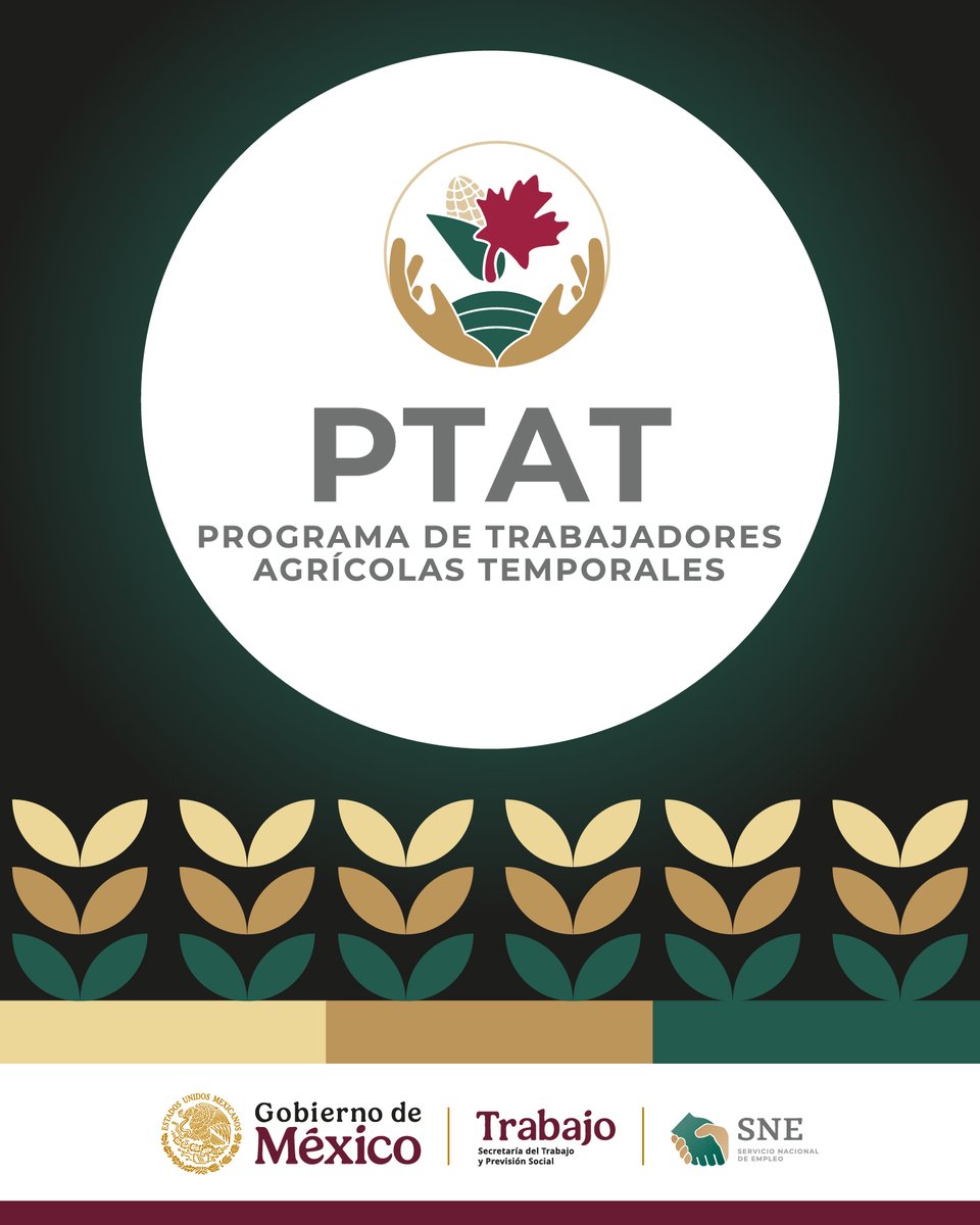 El Gobierno de México reafirma su compromiso con la migración laboral ordenada, segura, regular y circular a través del Programa de Trabajadores Agrícolas Temporales México - Canadá #PTAT. 🇲🇽🤝🇨🇦

🔗 Conoce los detalles en el siguiente boletín: goo.su/0ZNkIE