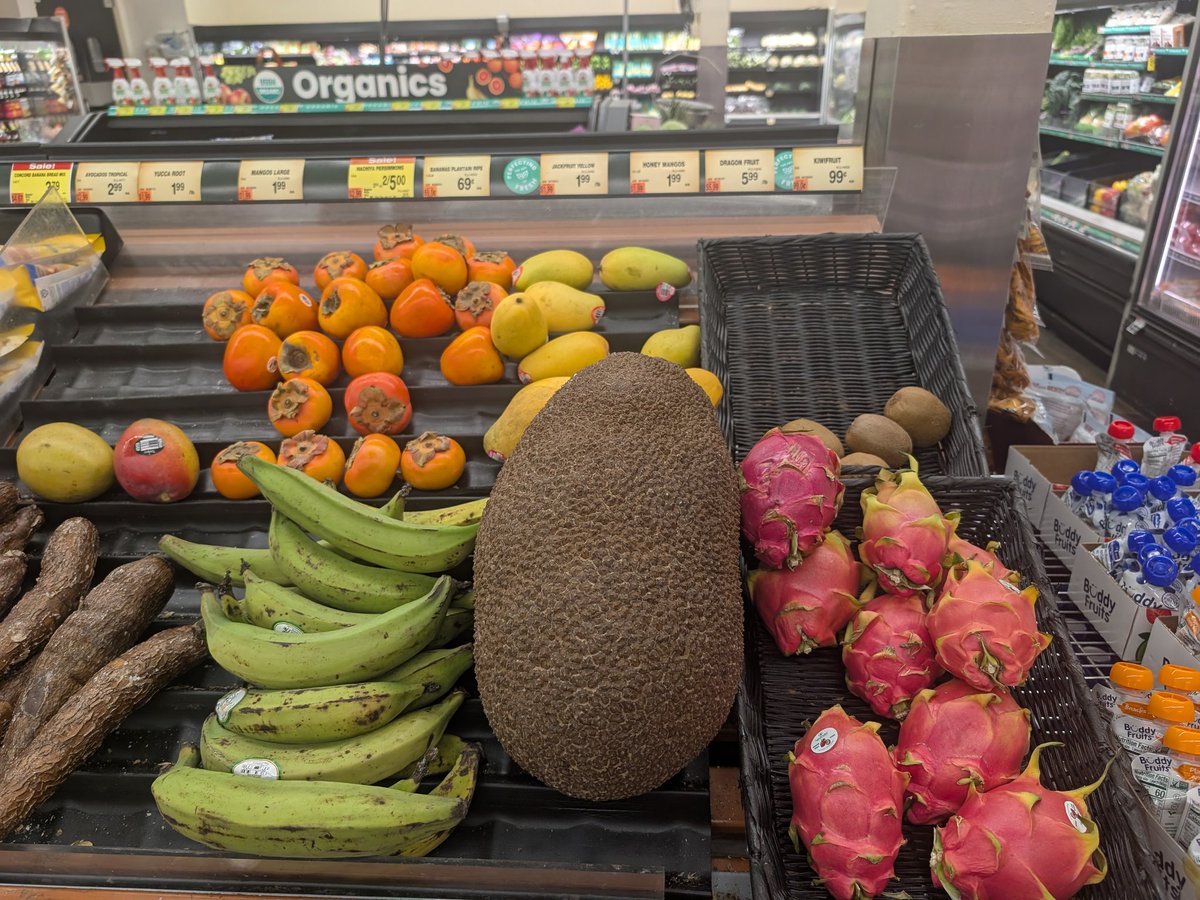 LeonardRobot's tweet image. A jackfruit at our local super market is probably the craziest thing that has happend in our white new england town for years. People are excited and confused on the local FB age.