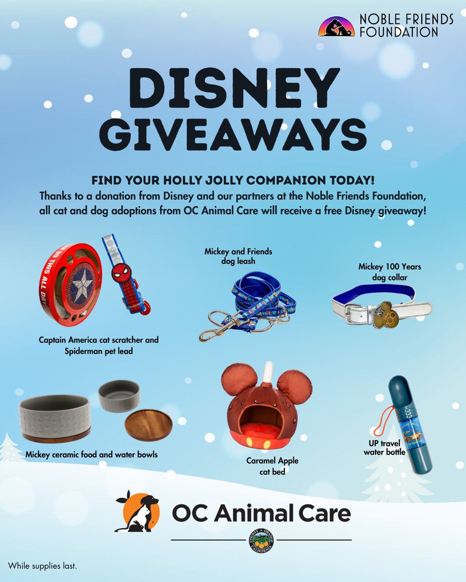 This holiday season, we are grateful for our Disney partners and the Noble Friends Foundation!  When you adopt a dog or cat from OC Animal Care, your new best friend will head home with a special treat from Disney!

While supplies last.