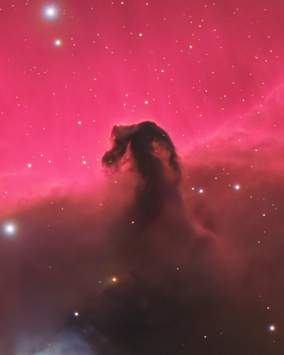 🔭AstroBackyard tweet media