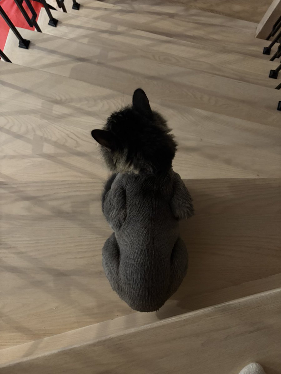 thicctheo's tweet image. thanksgiving leftovers