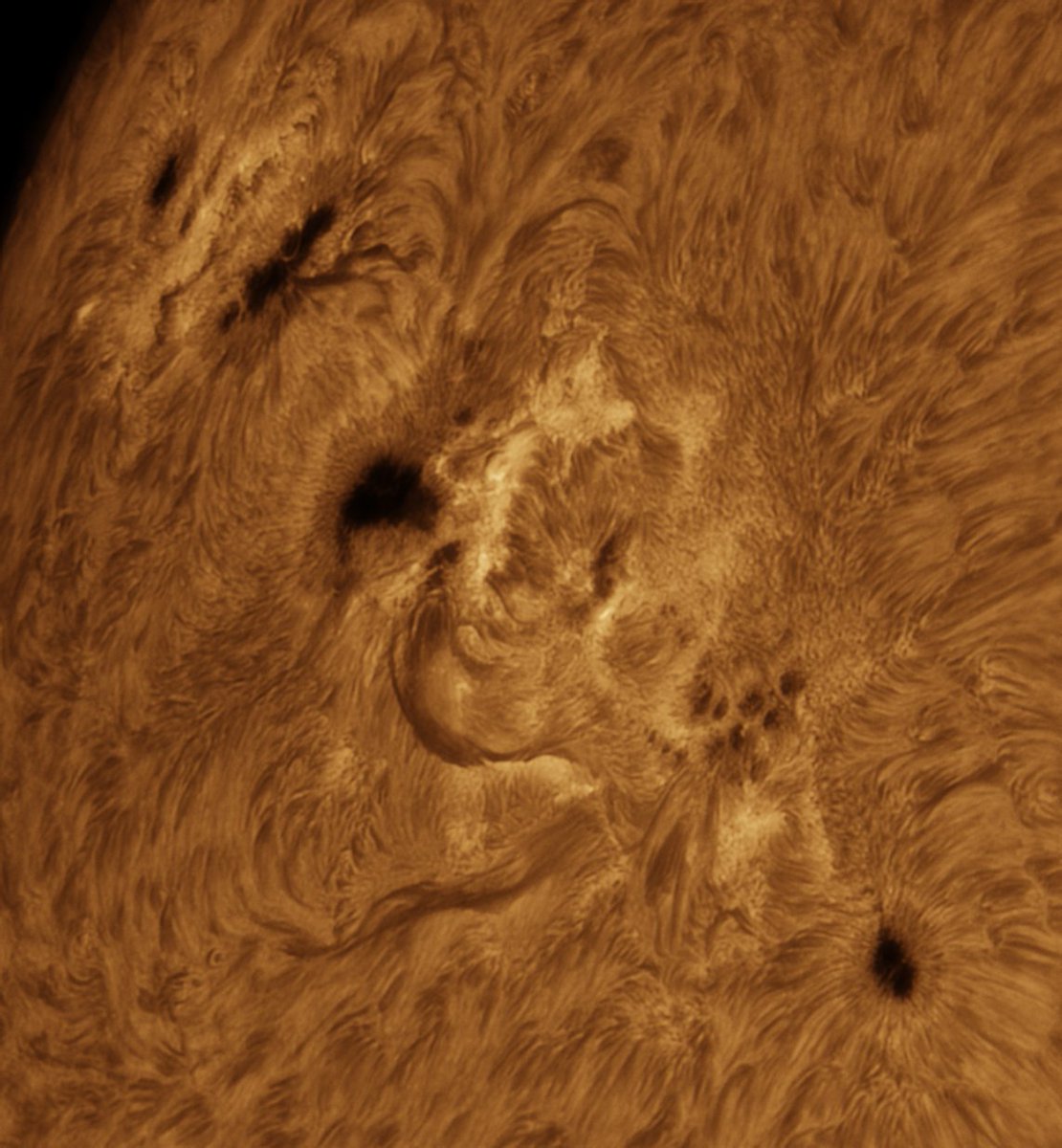 Alberto Castro tweet media