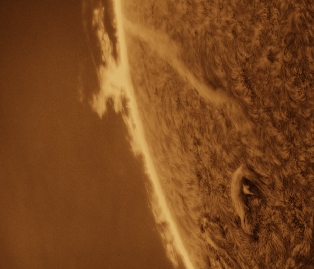 Alberto Castro tweet media