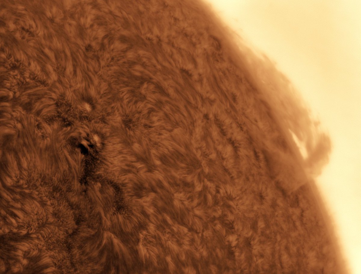 Alberto Castro tweet media