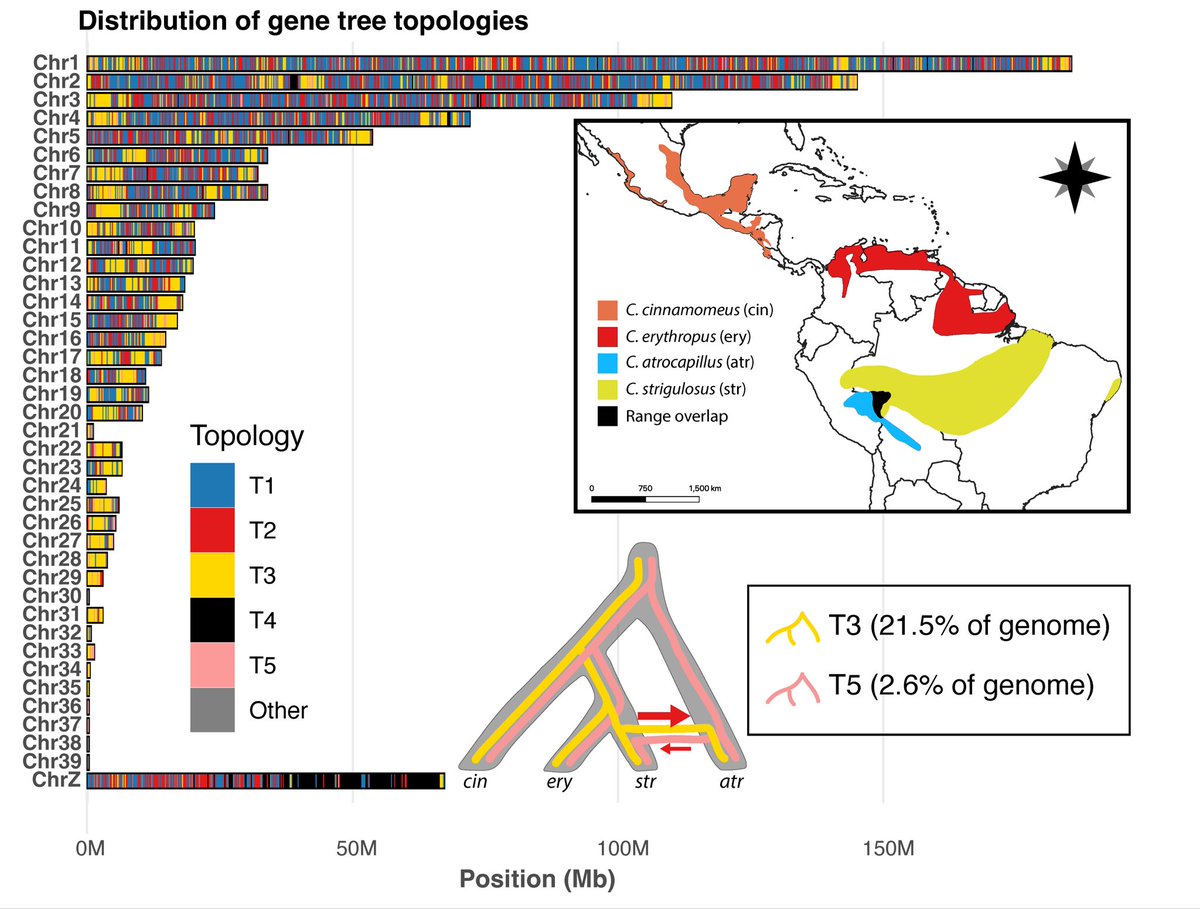 Lukas Musher tweet media