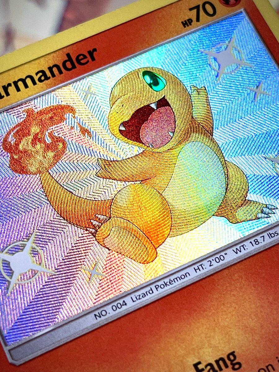 ThePokéChans tweet media