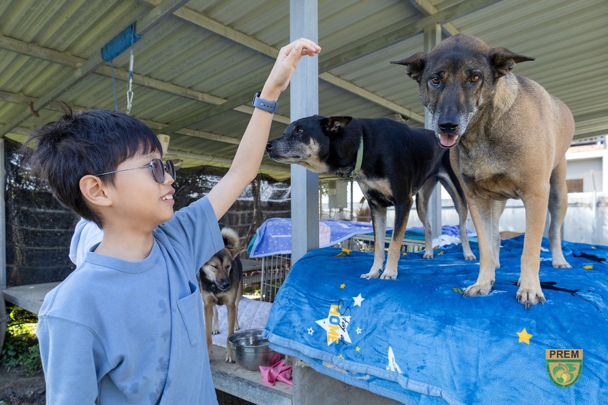 Prem International School tweet media