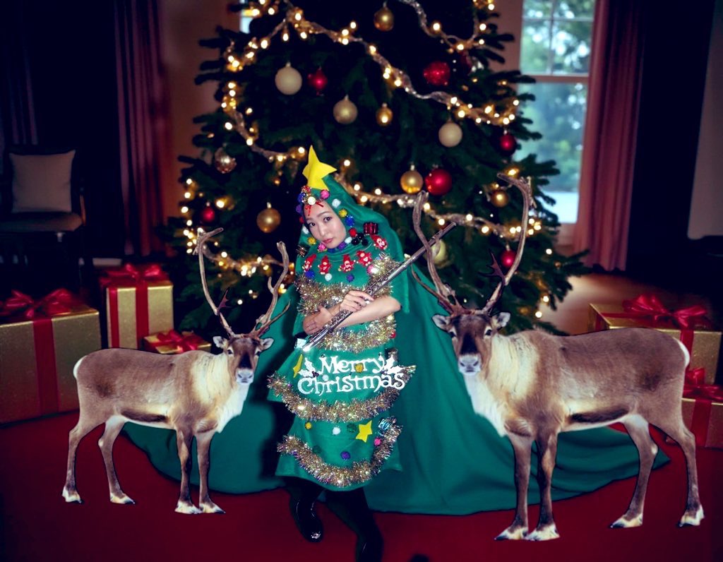 もうすぐクリスマスですねー🎄✨ トナカイたちも準備万端です