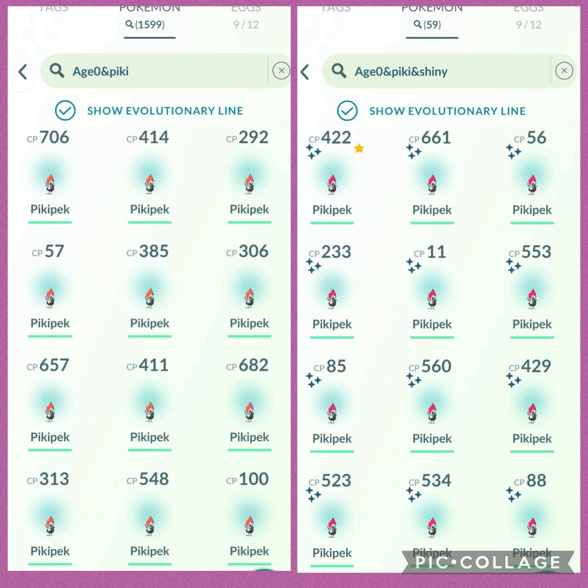 #Pikipeck Community day result a day late.

1599 caught did get a hundo from research too.

59 ✨ 7 had BG

#PokemonGO