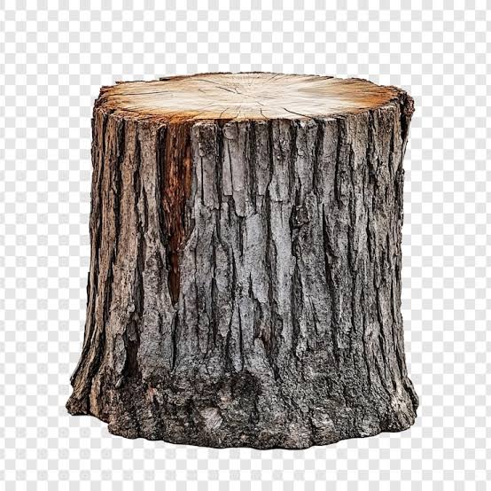 __/\/\/\/\/\_ tweet media