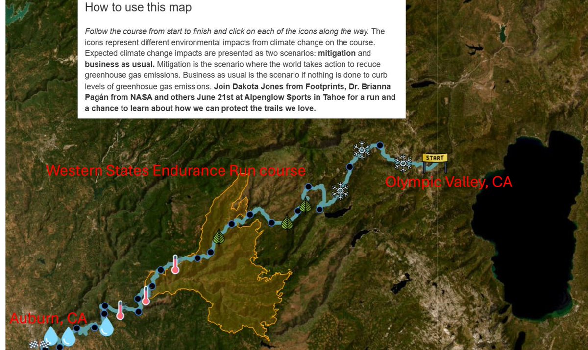Bill's Running Shoes: Of Mushrooms and Movements (running version) billrunningshoes.blogspot.com/2025/12/of-mus…