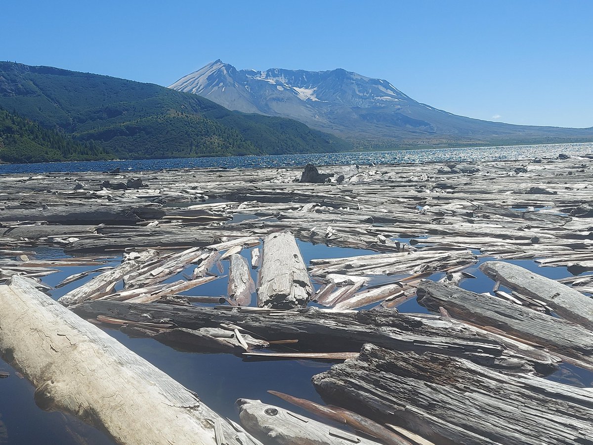 preciousjeyi's tweet image. Kayu mati di danau atau laut normal jika penyebabnya adalah karena letusan gunung berapi seperti kejadian di krakatau atau st helens atau karena berang-berang… Tapi yang terjadi di sumatera saat ini adalah karena kejahatan dan keserakahan manusia dan pemerintah.