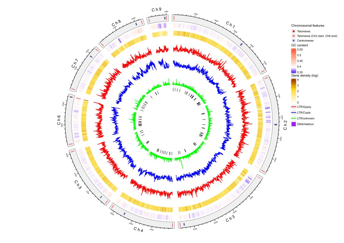 GigaScience tweet media