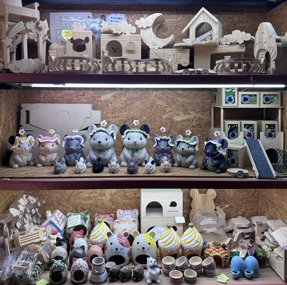 チンチラのグッズ、飼育用品 沢山あります✨ ここでしか手に入らない物