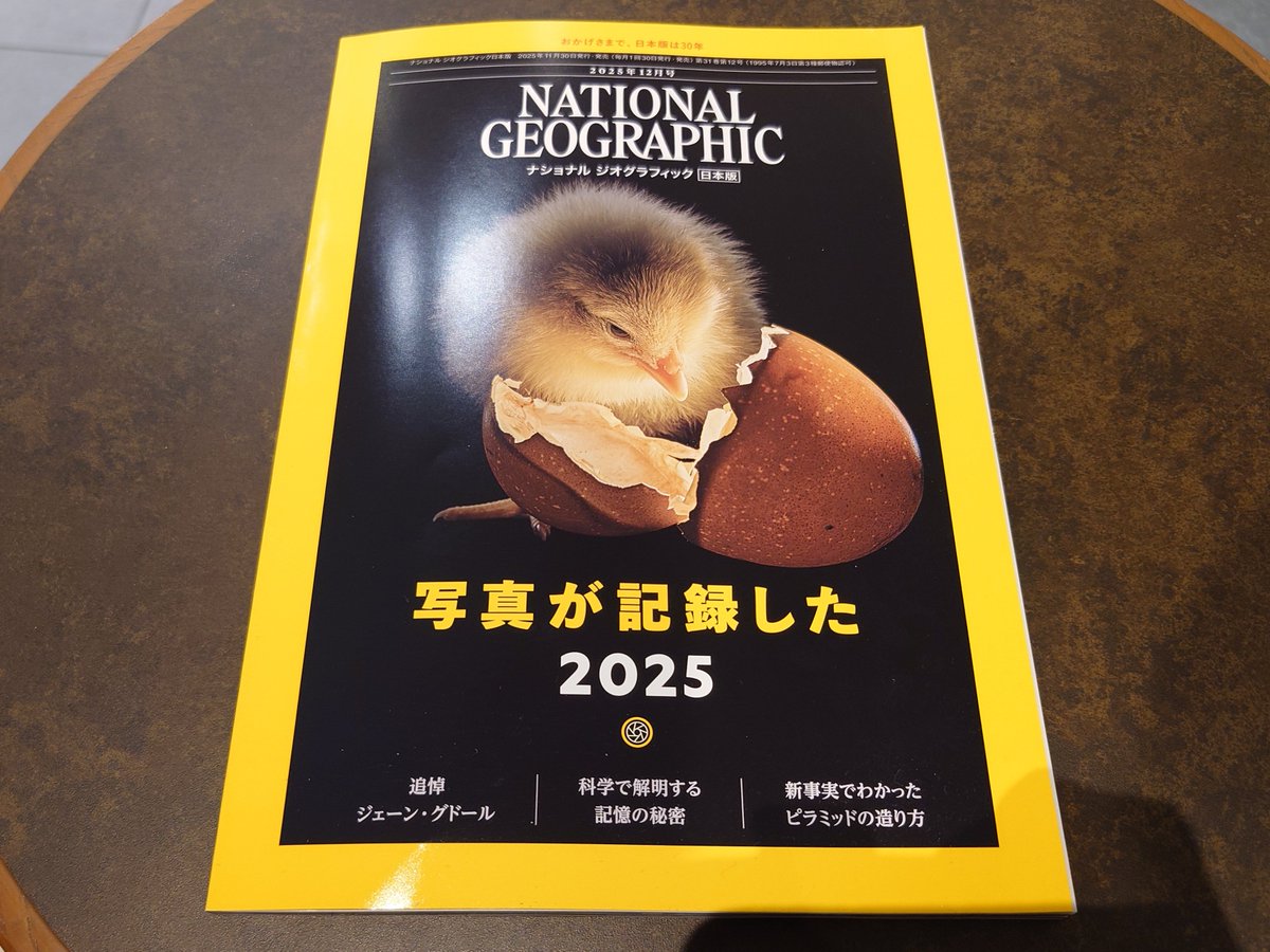 早速入手しました。たのしみです。