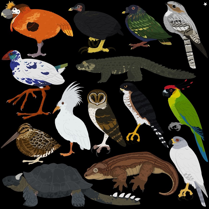 .🔅𝖆𝖘𝖙𝖗𝖆𝖕𝖎𝖔𝖓𝖙𝖊🔅. tweet media