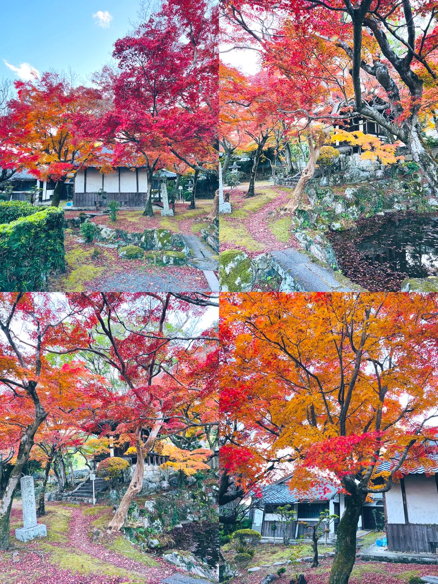 京都下鴨茶論🦆 tweet media