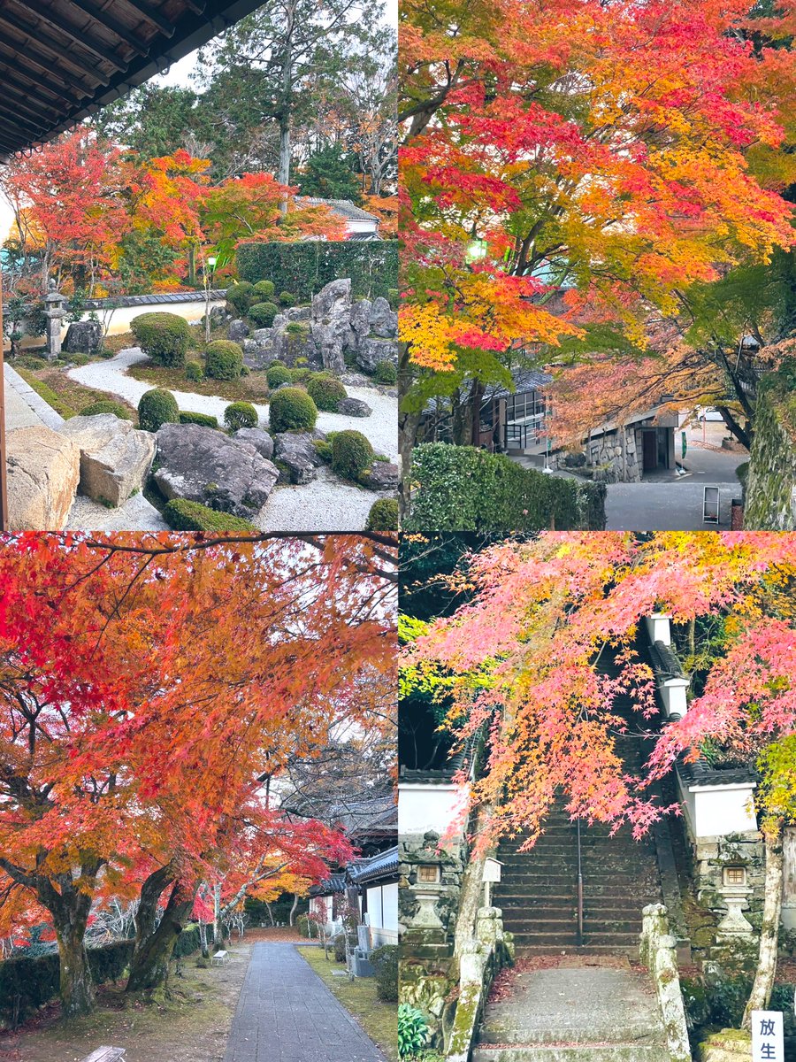 京都下鴨茶論🦆 tweet media