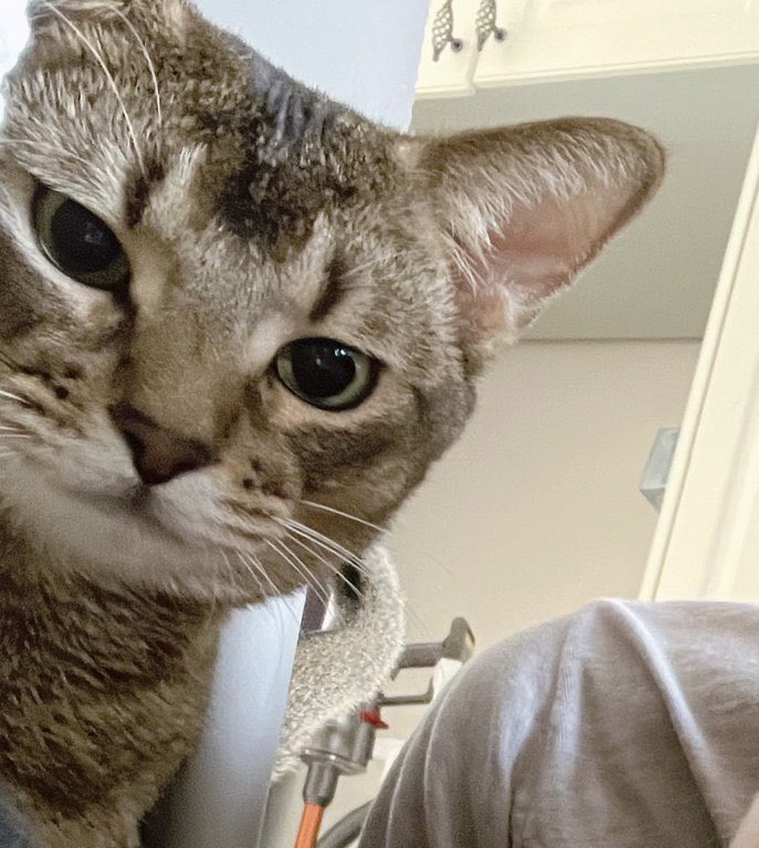 thisispxwer's tweet image. ผมให้โอกาสลบทวิต