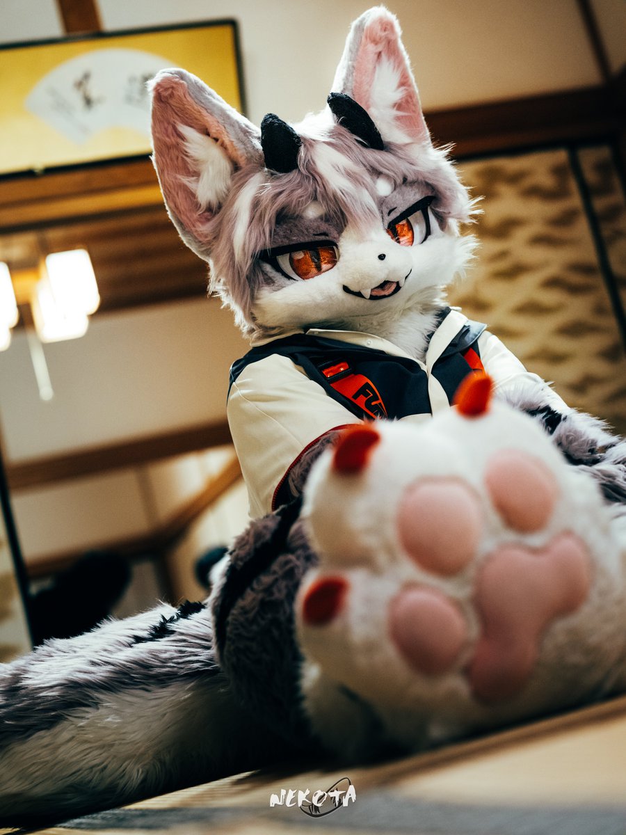 ネコタ@NEKOTA➡WFF (@hinekota) / Posts / X