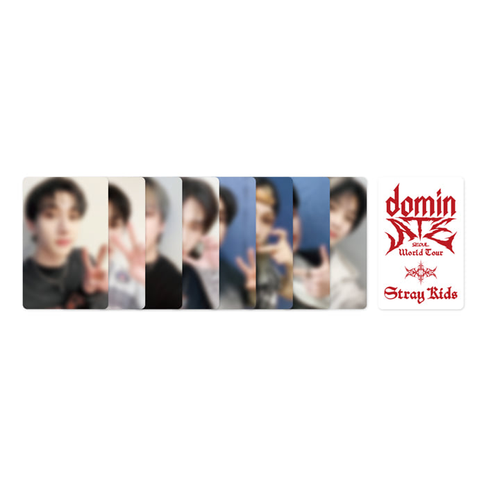 【#StrayKids】
[📢] Stray Kids World Tour [ #dominATE_SEOUL ]
DVD &amp; BLU-RAY📀 ご予約開始のご案内

🕓12/2(火) 14時～
📍WITHMUU JAPAN（安心国内配送🚚）
🔗tinyurl.com/mu3jnptd
🎁公式特典 フォトカード8種セット 贈呈

[🚚] 発送開始日は商品ページにてご確認ください。

#스트레이키즈