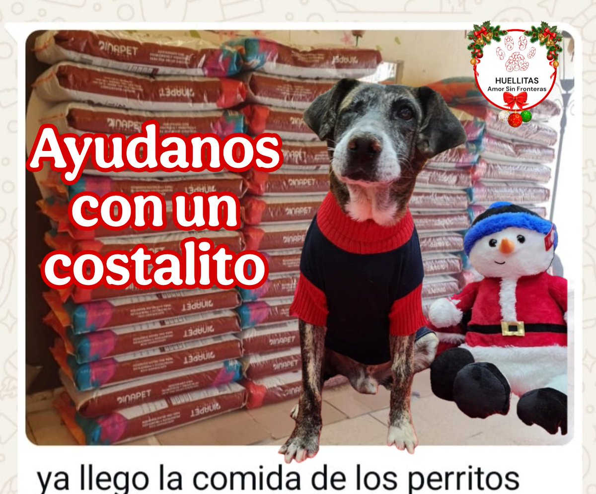Huellitas amor sin fronteras tweet media